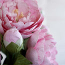 fleurs-en-papier-flowrette-pivoine