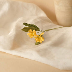 Margueritas salvajes en papel amarillo