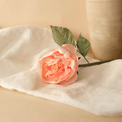 Peach paper garden peony