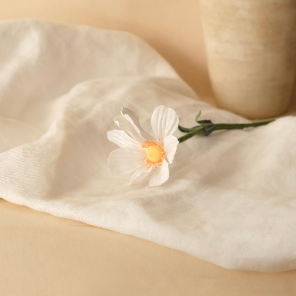 Cosmos en papier blanc