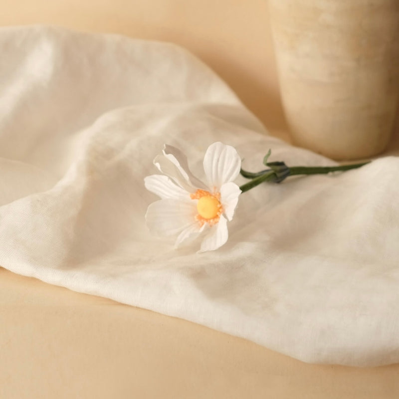 Cosmos en papier blanc