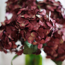hortensia-en-papier-prune