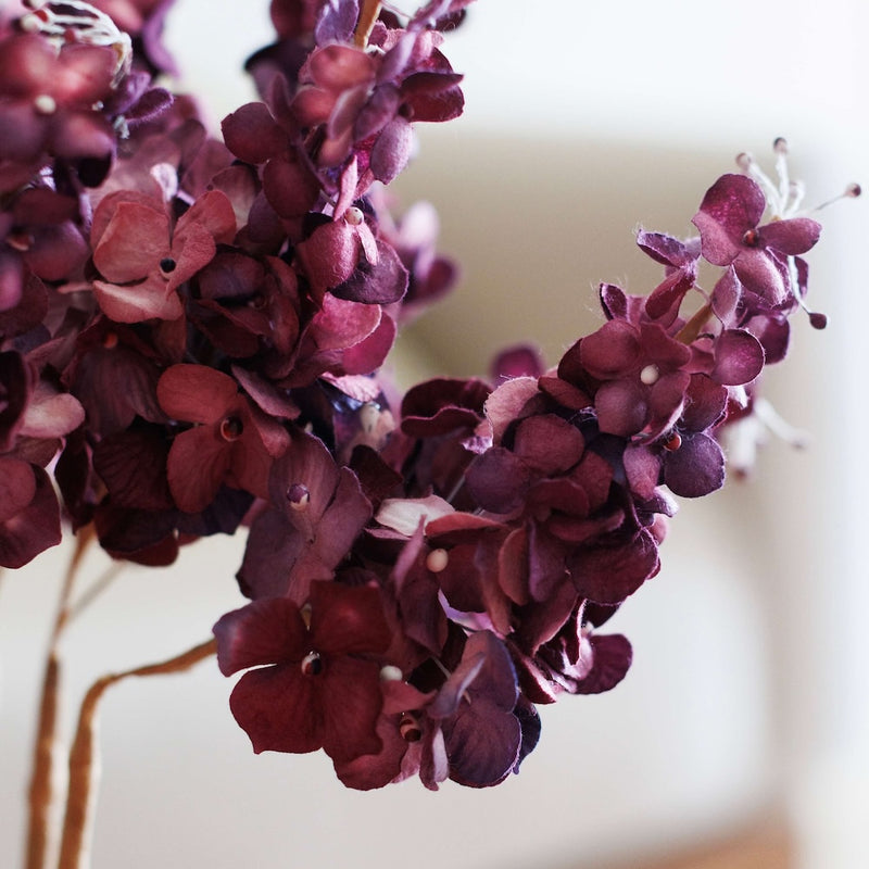 Hortensia paniculé en papier violet