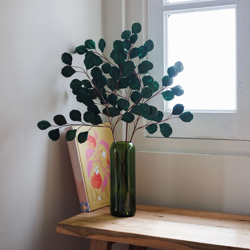 eucalyptus-en-papier-vert
