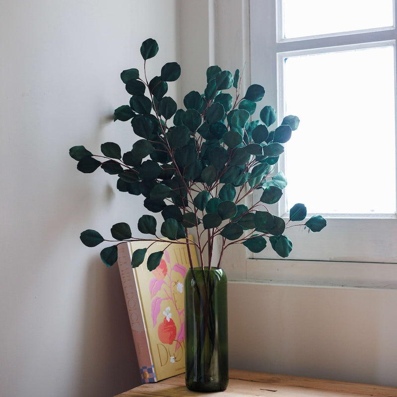 eucalyptus-en-papier-vert