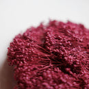 Botte fleurs séchées Broom bloom Violet