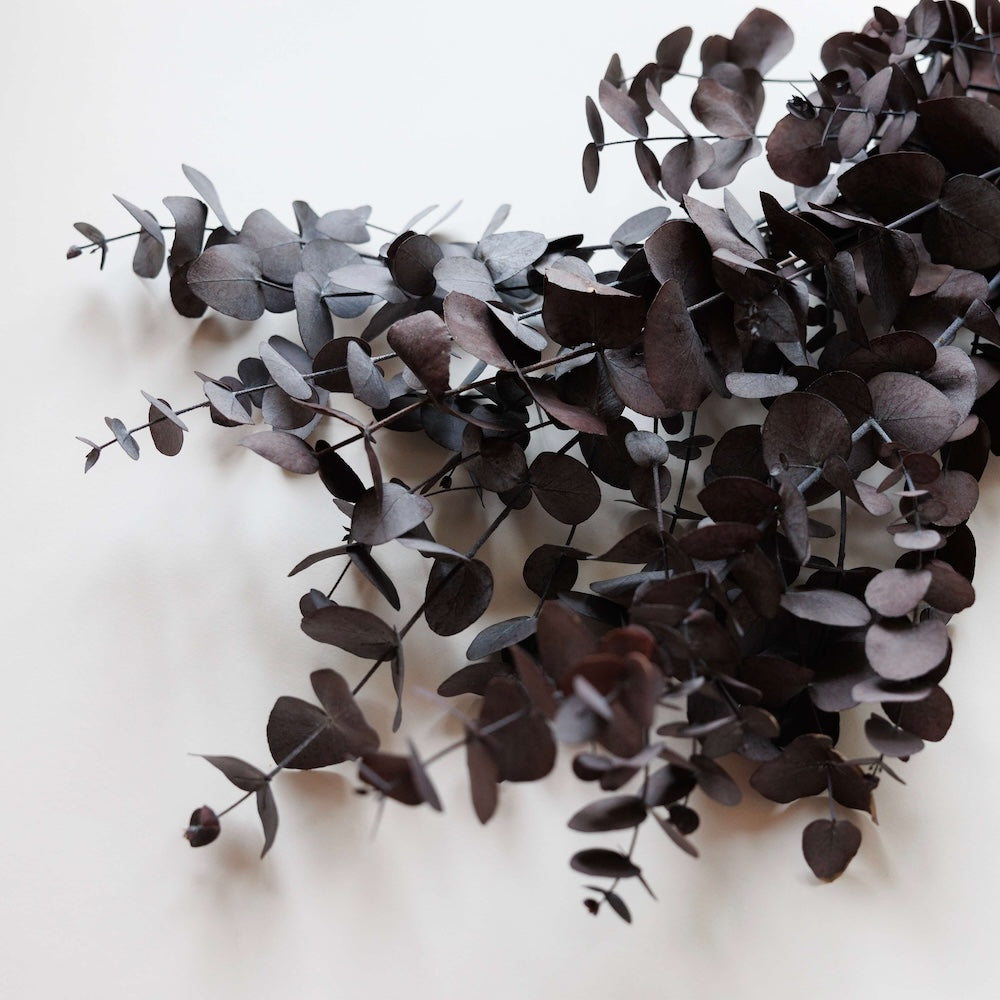 eucalyptus-stabilise