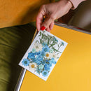 flowrette-fleurs-pressee-bleu