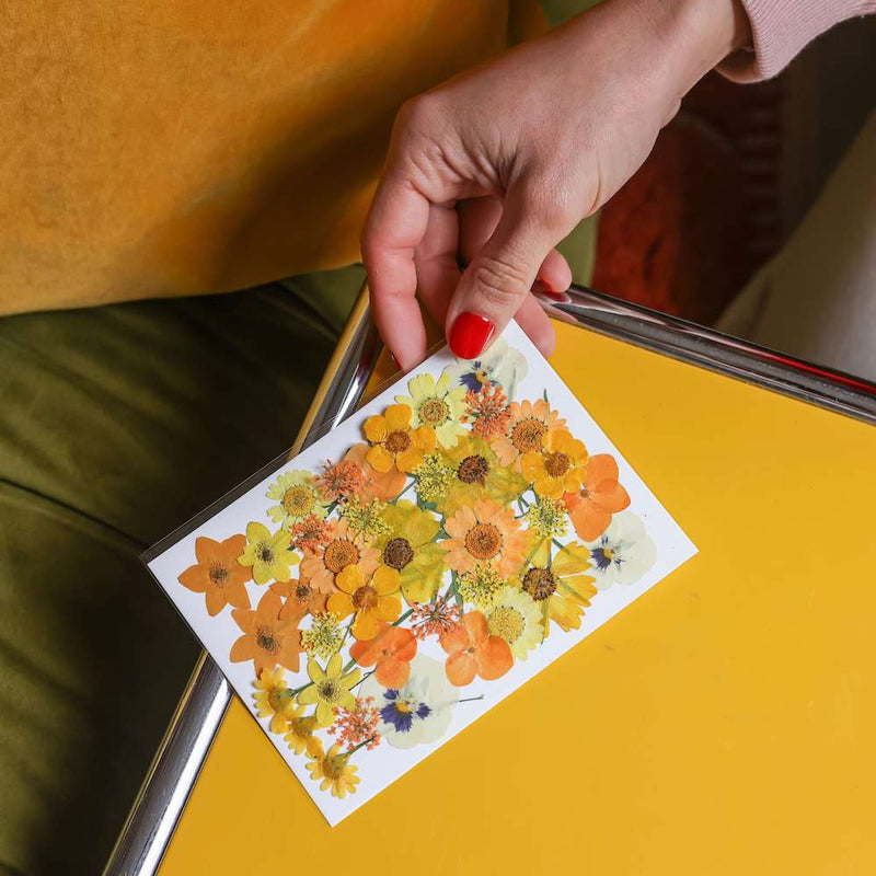 flowrette-fleurs-pressee-herbier-diy