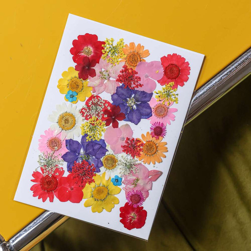 flowrette-fleurs-pressee-multicolore