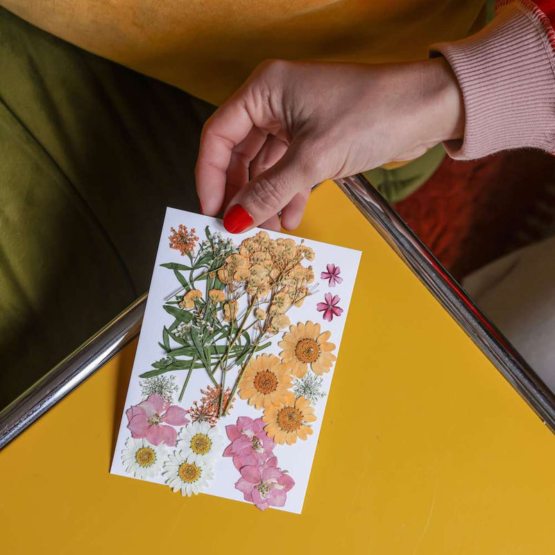 flowrette-fleurs-pressee-roses