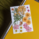 flowrette-fleurs-pressee-roses