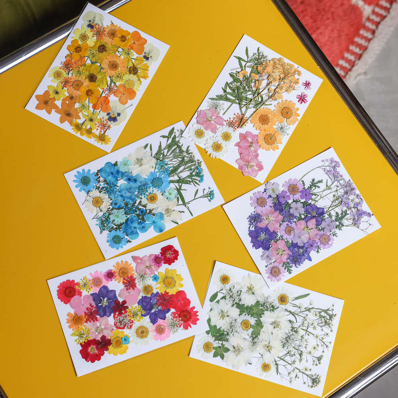 flowrette-fleurs-pressee-orange-jaune