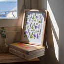 herbier-fleurs-pressees-flowrette