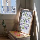 herbier-fleurs-pressees-flowrette