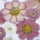 herbier-fleurs-pressees-flowrette