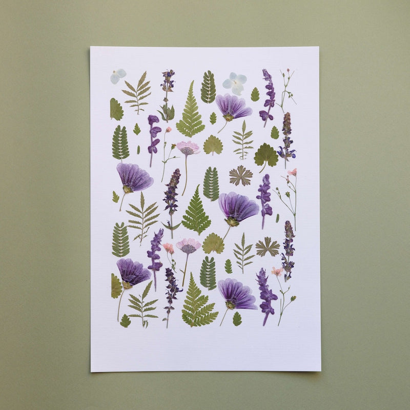 herbier-fleurs-pressees-flowrette