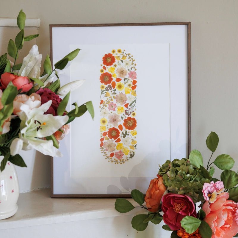 herbier-fleurs-pressees-flowrette