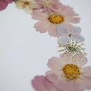 herbier-fleurs-pressees-flowrette