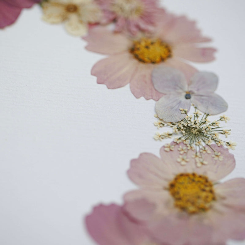 herbier-fleurs-pressees-flowrette
