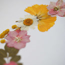 herbier-fleurs-pressees-flowrette