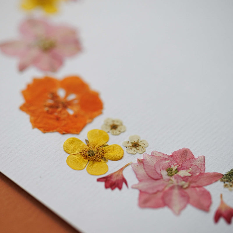 herbier-fleurs-pressees-flowrette