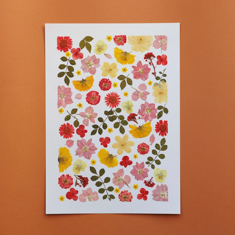 herbier-fait-main-fleurs-jaunes-roses