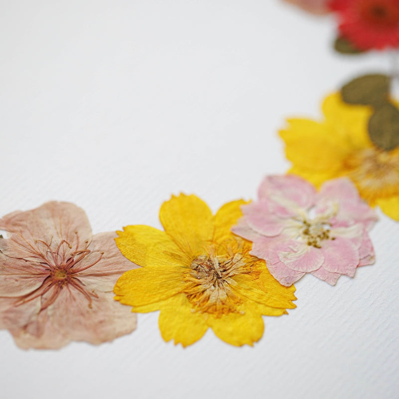 herbier-fleurs-pressees-flowrette