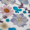 herbier-fait-main-fleurs-bleues-roses