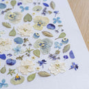 herbier-flowrette-fleurs-sechee-collection-automne