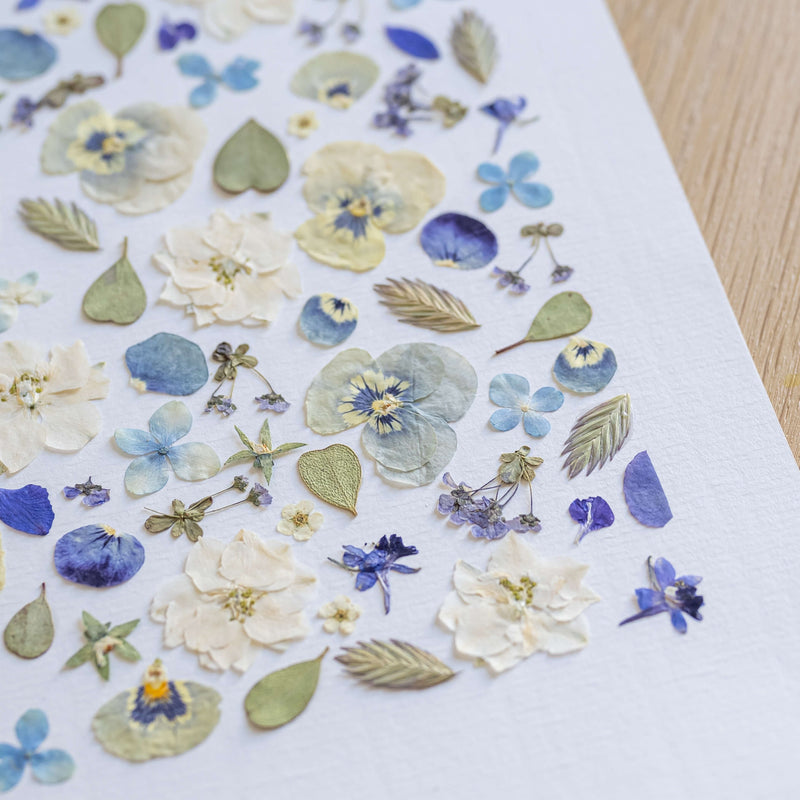 herbier-flowrette-fleurs-sechee-collection-automne