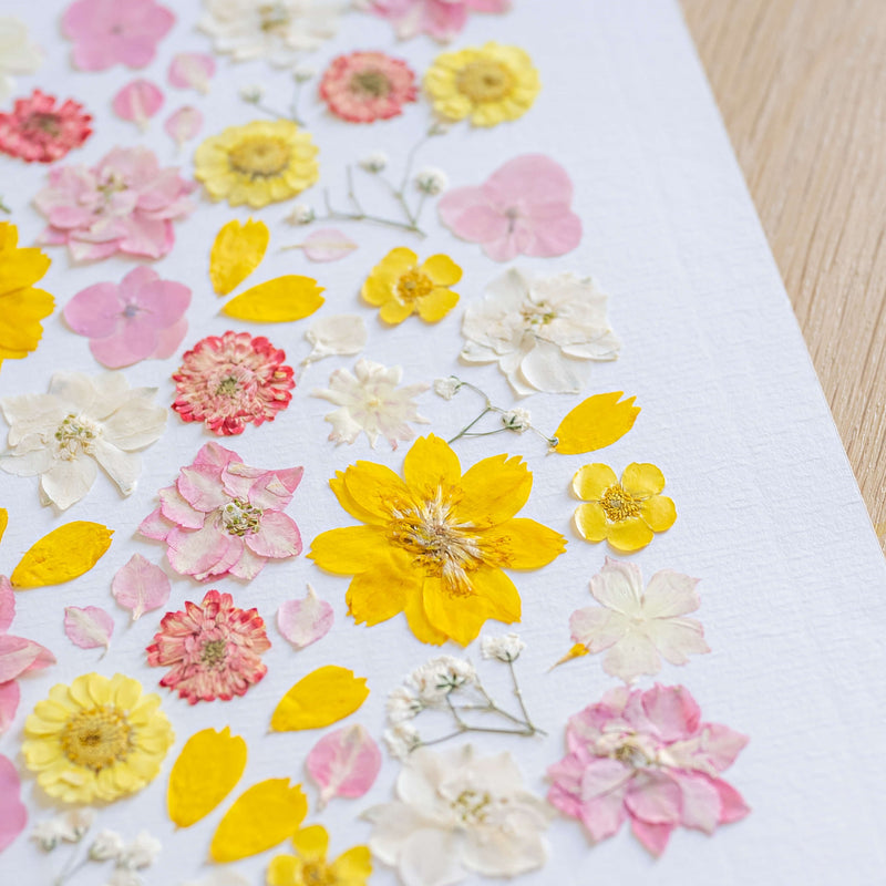 herbier-fleurs-sechee-flowrette-teintes-ocre