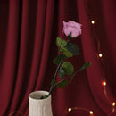 Rose rose stabilisée