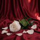 Rose anglaise blanche stabilisée