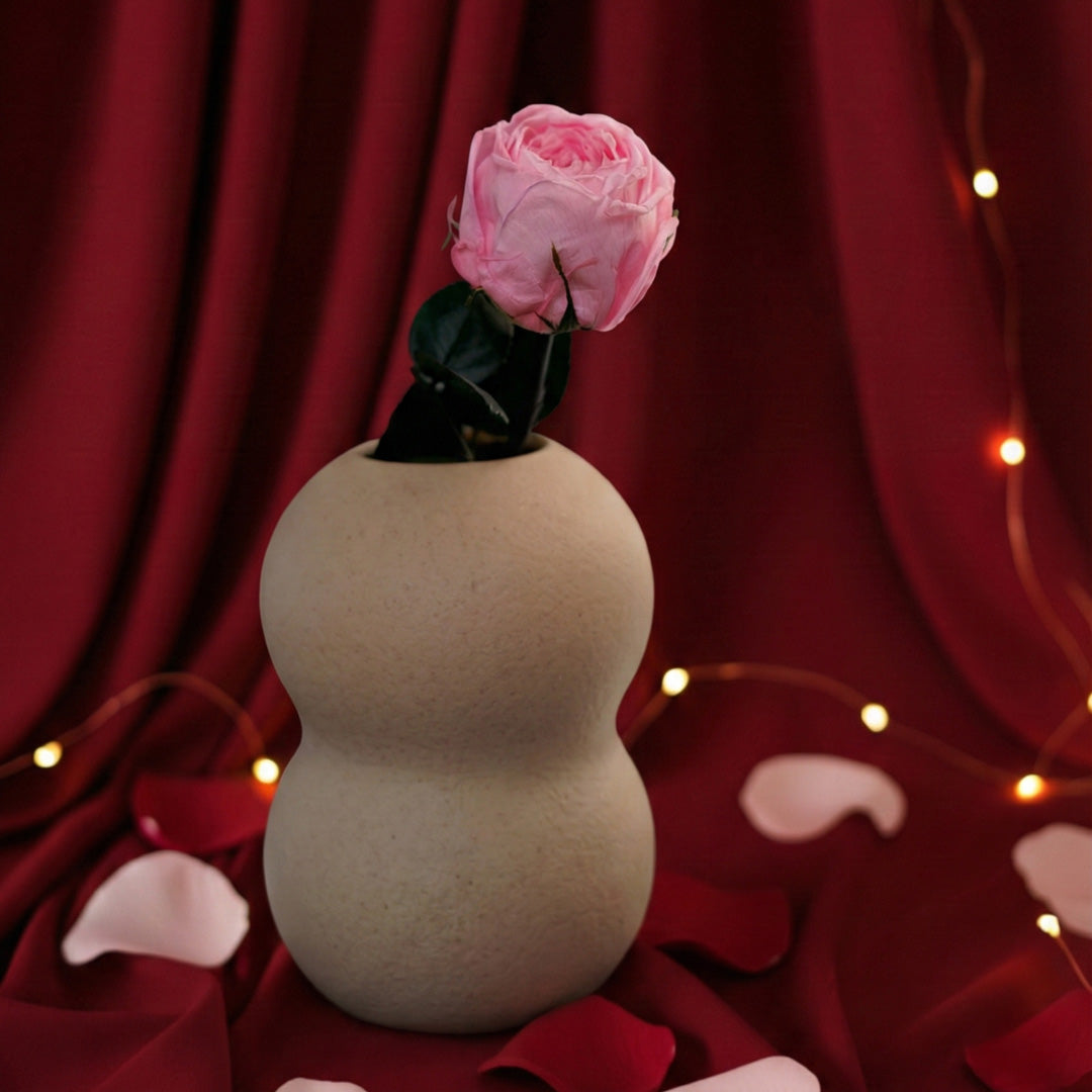 Rose anglaise rose stabilisée