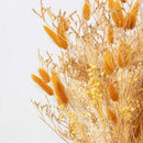 kit-diy-bouquet-seche-orange