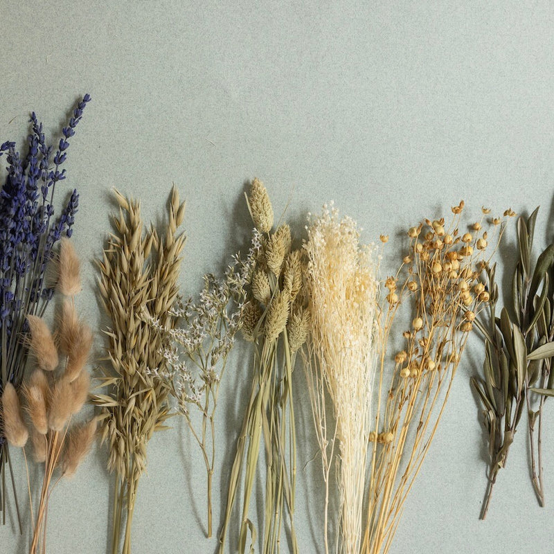 kit-diy-couronne-murale-fleurs-sechees