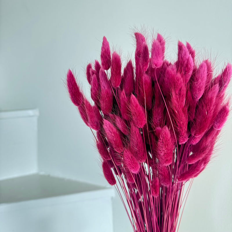 Botte fleurs séchées Lagurus Bordeaux