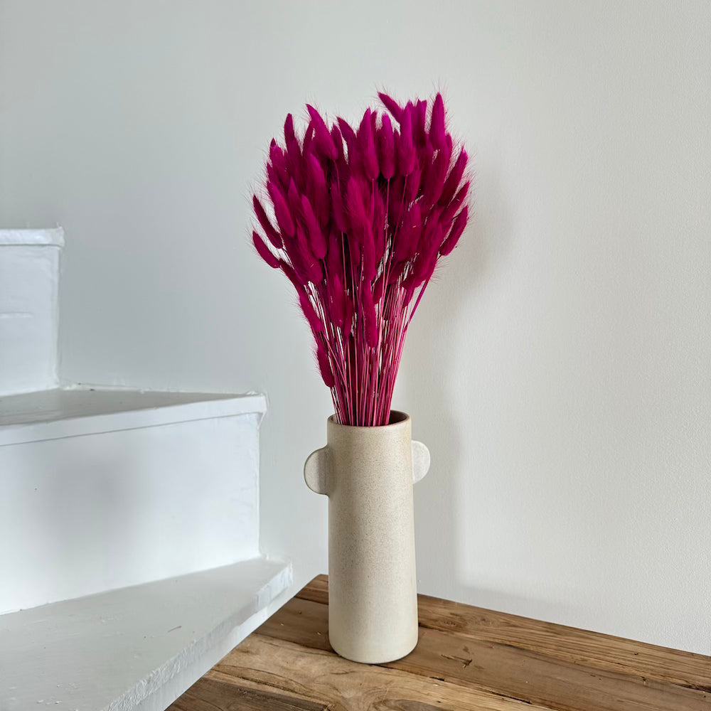 Botte fleurs séchées Lagurus Magenta