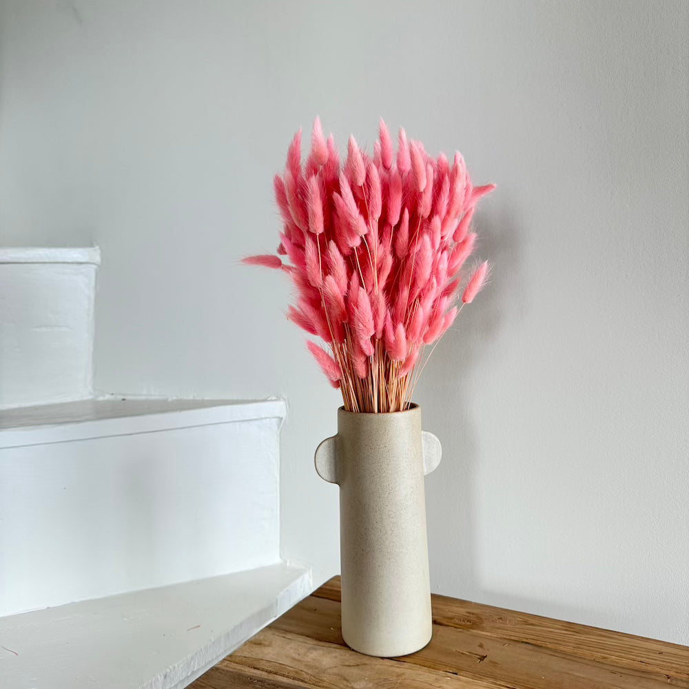 Botte fleurs séchées Lagurus Vieux rose
