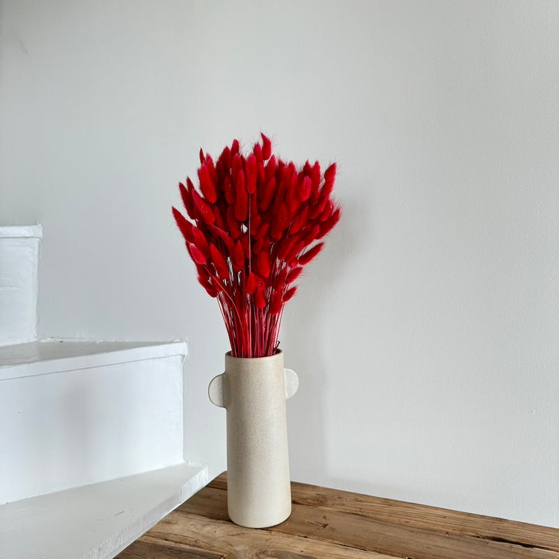 Botte fleurs séchées Lagurus Rouge