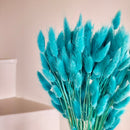 Botte fleurs séchées Lagurus Turquoise