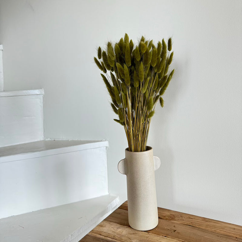 Botte fleurs séchées Lagurus Vert olive
