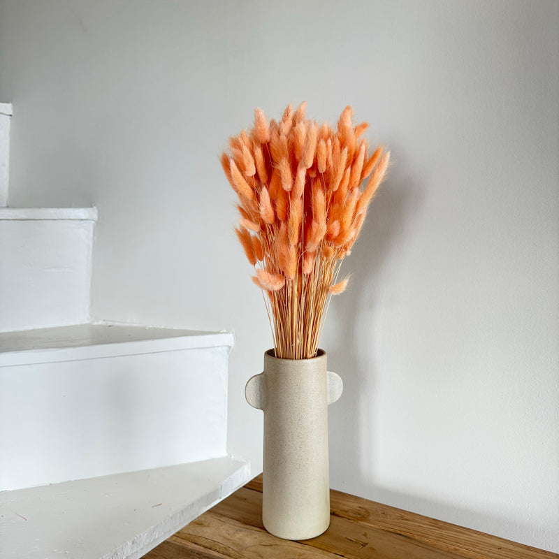 Botte fleurs séchées Lagurus Pêche