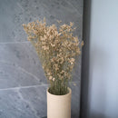 botte-fleurs-sechees-limonium-blanc-flowrette