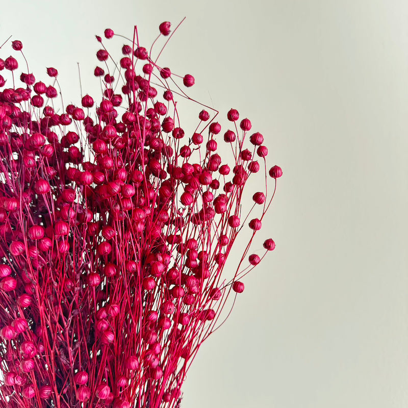 Botte fleurs séchées Lin Bordeaux