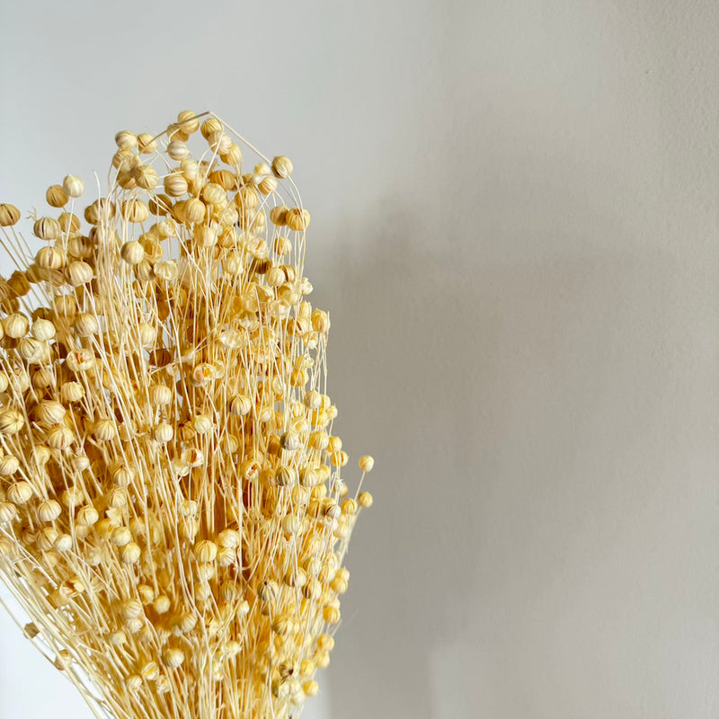 Botte fleurs séchées Lin Blanc