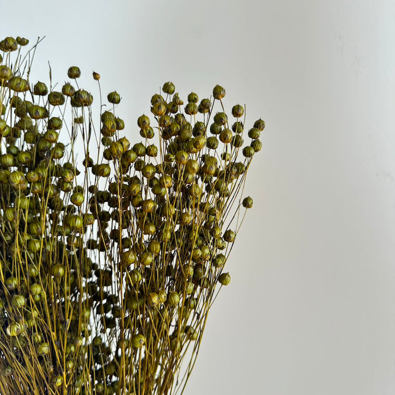 Botte fleurs séchées Lin Vert olive