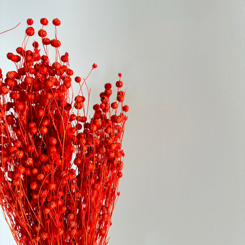 Botte fleurs séchées Lin Orange foncé