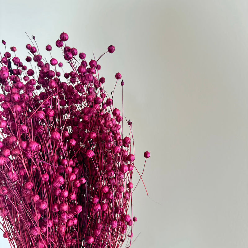 Botte fleurs séchées Lin Violet